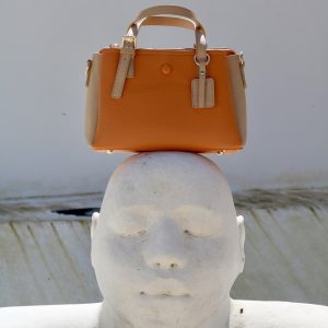 Bolso Bicolor Botón